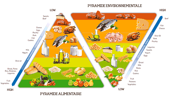 Double pyramide alimentaire et environnementale